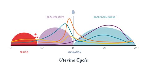 Period Cycle Graph 的图像结果