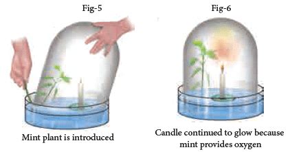 Image result for Free Science Lesson Components of Air