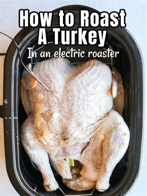 How to Cook a Turkey in a Roaster 的图像结果