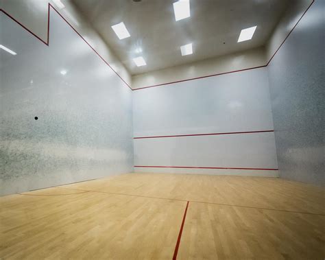 Squash Sport 的图像结果