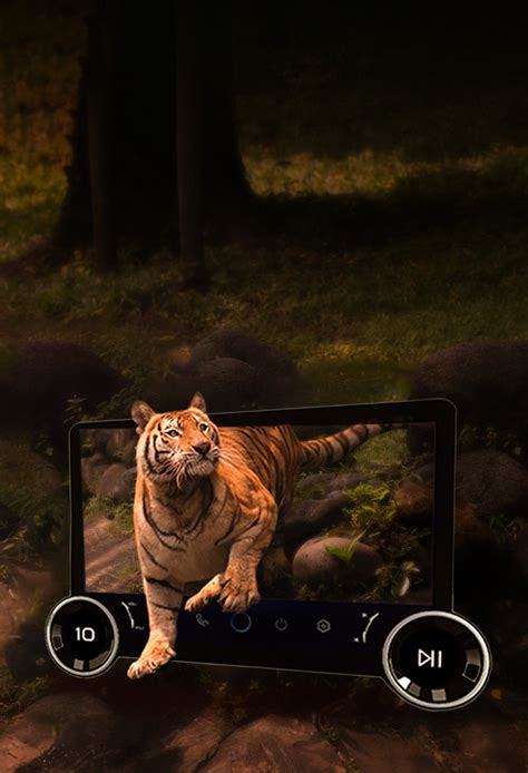 Moco Car Accessories