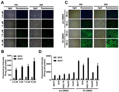Correction: Geng et al. Intracellular Delivery of DNA and Protein by a ...