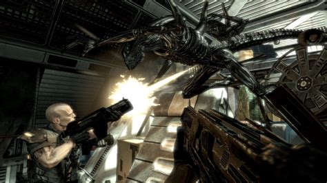 Image result for Alien vs Predator Game Free PC