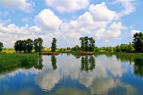长春北湖湿地公园落日景观高清图片下载-正版图片502391667-摄图网