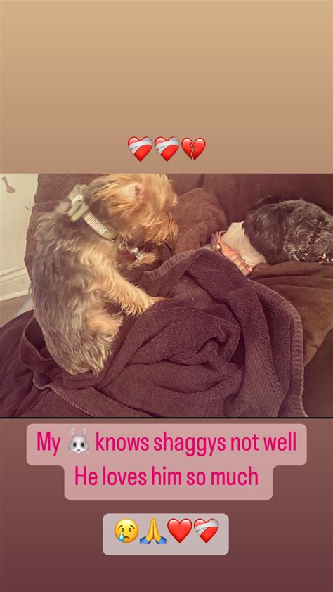 TW Pornstars - TAYLOR STEVENS™ ONLYFANS.COM/TAYSTEVENS. Twitter. My 🐰 🐶 knows shaggys not well ...