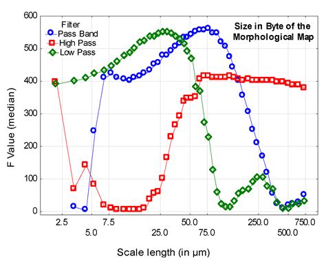 A Multiscale Topographical Analysis Based on Morphological Information ...