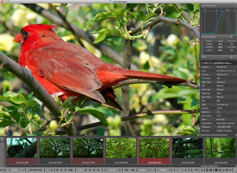 Image result for Fast Raw Viewer Tutorials
