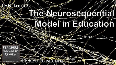 Beaconhouse Neurosequential Model 的图像结果