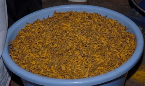 Research & Innovation in Turmeric Processing - CSIR-CFTRI Novel ...