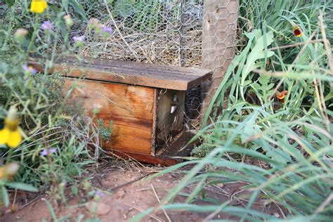 How to Make a Bumble Bee House 的图像结果