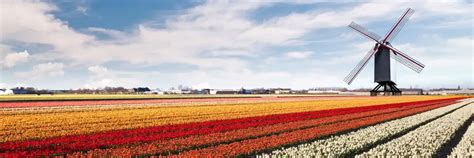 Netherlands Tourist Visa | Checklist & Process | TTK Visas