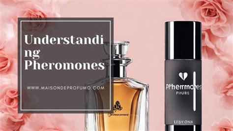 "The Science of Pheromone Perfumes: Demystified" – Maison De Profumo