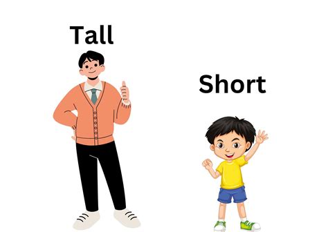 Tall and short in 2025 | Preschool activities printable, Short person ...