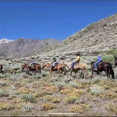 MCGEE CREEK PACK STATION (2026) All You Need to Know BEFORE You Go ...
