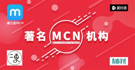 MCN - YouTube