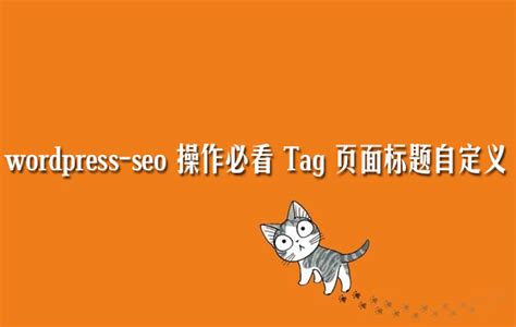 WordPress-seo优化操作：Tag页面标题自定义及Tag描述调用 - 云服务器网