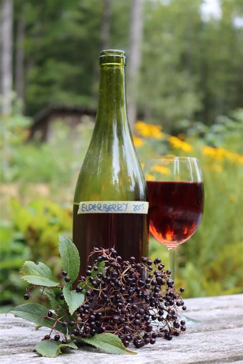 50+ Winemaking Recipes for Homemade Wine (from Any Fruit!) — Practical ...