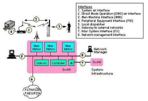 Image result for Decoding Tetra