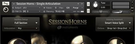 Image result for Session Horns Pro Tutorial