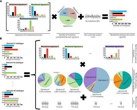 Decipher Test 的图像结果
