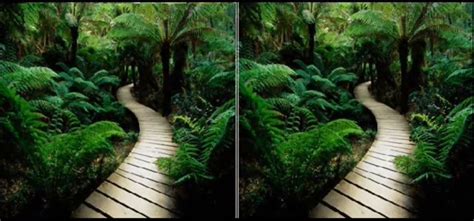 Difference Between RDBMS and NoSQL 的图像结果