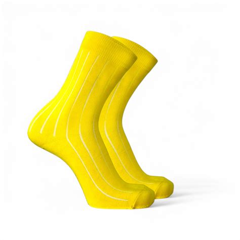 Buy Derp Women's Socks - Summer Edition Full-Length Socks for Comfort ...