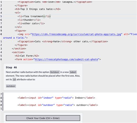 Image result for HTML Course Freecodecamp
