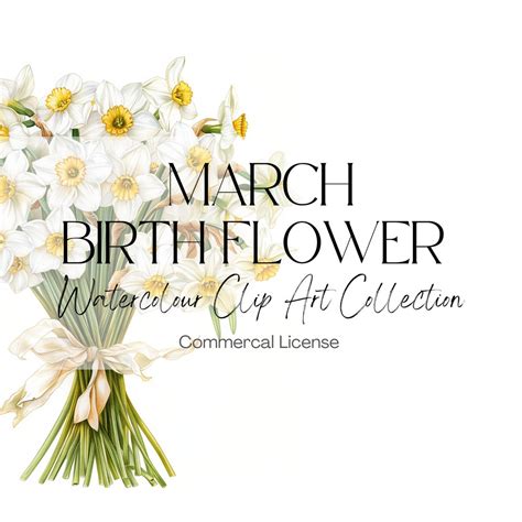 March Birth Flower | Daffodils & Jonquils | Flower Clip Art | March ...