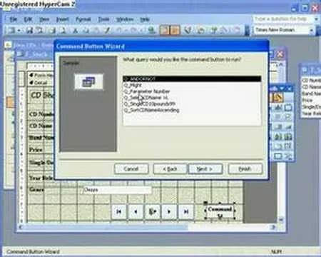MS Access Query Run 的图像结果