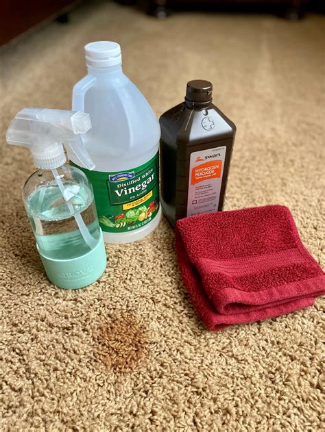 diy carpet cleaner