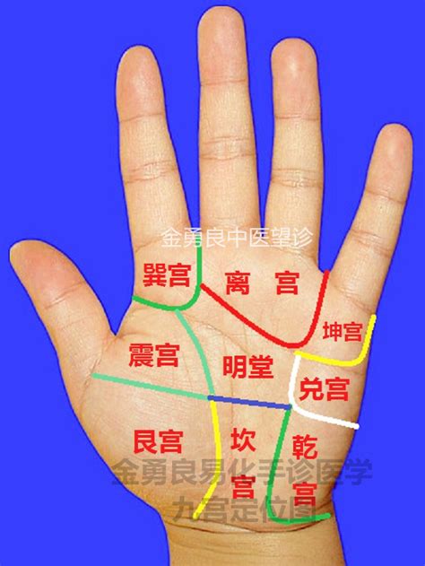 八卦手指图,12个时辰手指图,标准的手掌图_大山谷图库