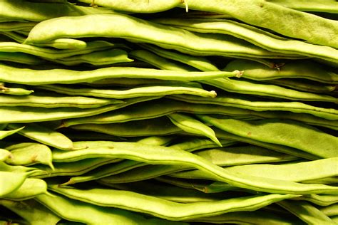 Why Are My Green Beans Growing Flat at Louise Mcmakin blog