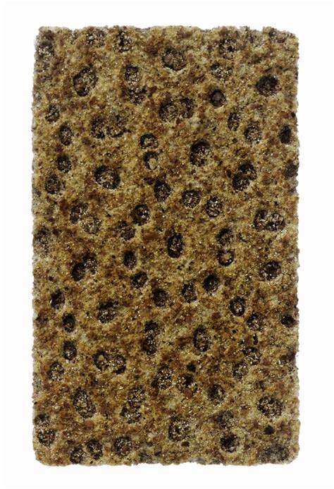 Ergotism: Causes, Symptoms, and Prevention