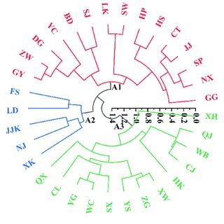 Image result for Dendrogram Excel