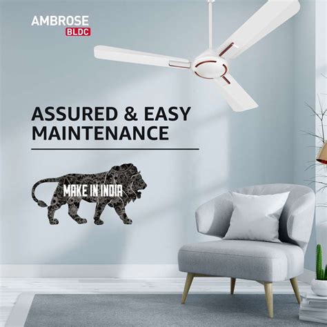 HAVELLS Ambrose BLDC with 2 Year Warranty BLDC Motor with Remote 1200 ...
