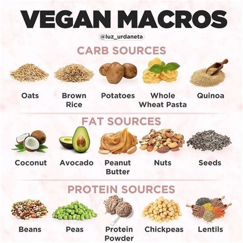 Vegan Bodybuilding: How to Build Muscle on a Plant-based Diet In 2021 - Vegan Fitness Coaching