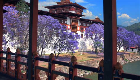 9 Beautiful Attractions To Visit in Bhutan - lifeberrys.com