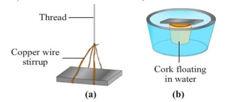 Show diagram magically two ways in which a magnet can be freely ...