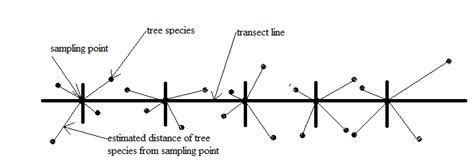 Image result for Transect Method Continuous Sampling
