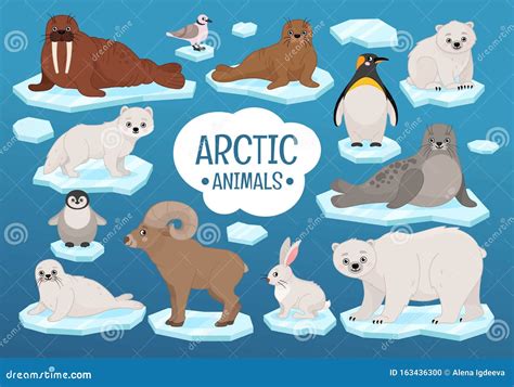 Arctic Animal Clipart