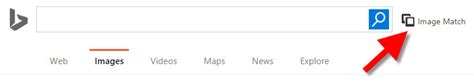 Bing Image Match Search 的图像结果
