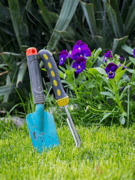 Best Low-Maintenance Bushes For Your Outdoor Landscape