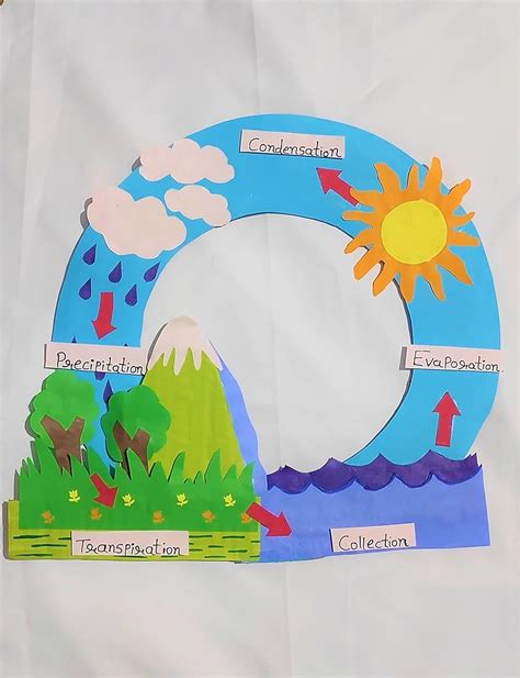 Water Cycle Model 的图像结果