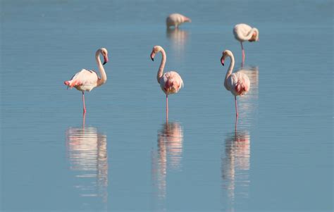 Rift Valley in Tanzania | Tanzania Travel Guide | Flamingo Travels