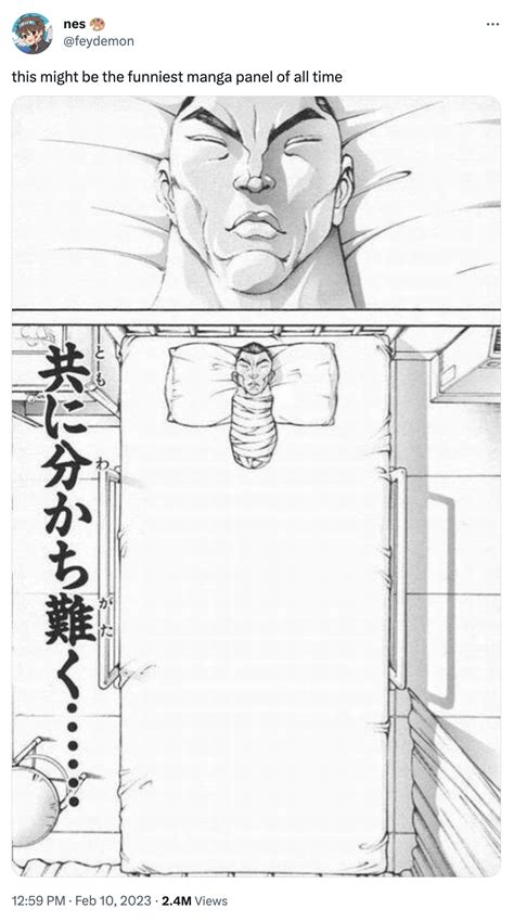 Retsu Kaioh's Head Lying in a Hospital Bed: Image Gallery | Know Your Meme