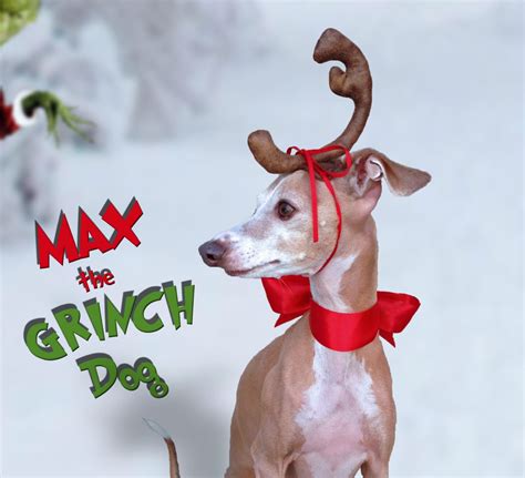 Grinch Dog Costume