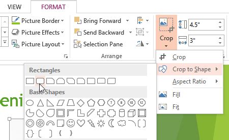 Format Shape PowerPoint 的图像结果