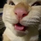 Image result for Resurrection Roblox Script