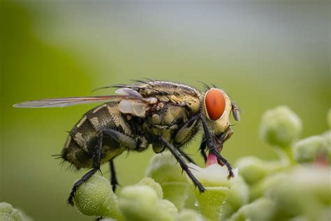 15 awesome, endangered idioms almost no one says anymore, but should - Upworthy