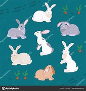 Image result for Cutis Bunnies